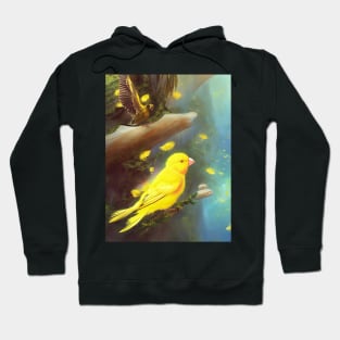 canary hill Hoodie